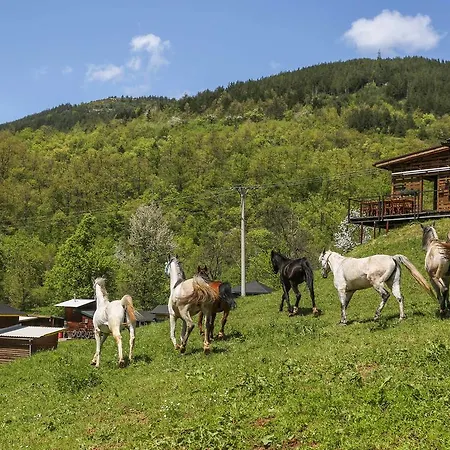 Agroturizam Gastro Ranch Sarajevo